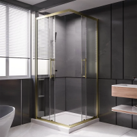 Душевой угол раздвижной 1100Х800x2000 цвет профиля Золото брашированное стекло прозрачное  PTC20-G-11080-01-C4 Premium Veconi